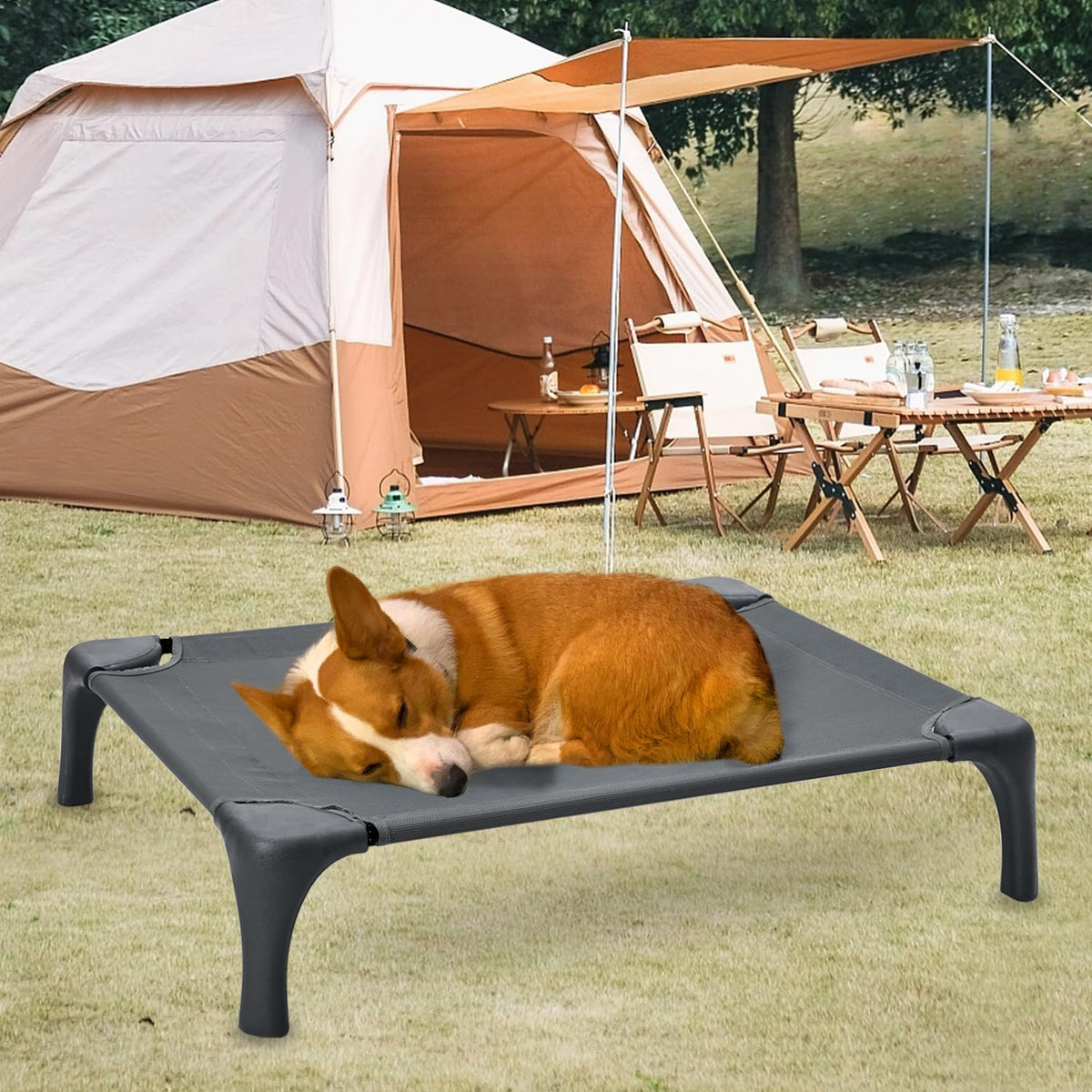 Outdoor Elevated Dog Bed With Portable Bag, Easy to Assemble for Medium Small Dogs, Raised Cot With Pet-Friendly Feet, Breathable Mesh for Camping or Travel, Dark Grey