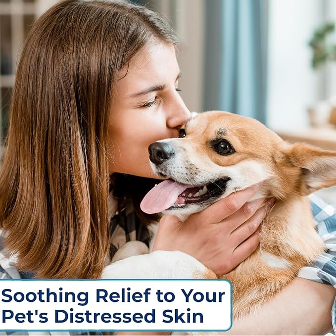 Replenish Antiseptic Spray for Dogs – Medicated Anti Itch Spray for Pets – Chlorhexidine & Ketoconazole Pet Spray – Dog Itching Skin Relief - Antiseptic Spray for Cats Skin Allergy – 8 oz