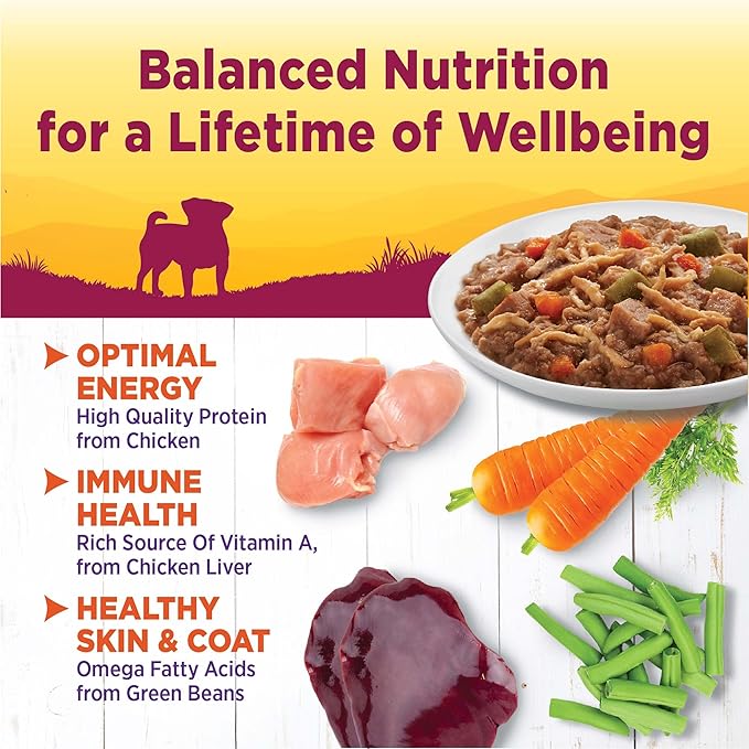 Wellness Petite Entrées Shredded Medley with Tender Chicken, Turkey, Carrots & Green Beans, 3-Ounce Cup (Pack of 12)