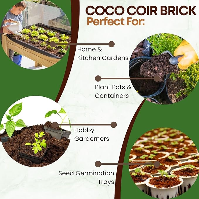 6 Pack Premium Coco Coir Brick for Plants | 100% Organic Compressed Coconut Coir Bricks Starting Mix, Coco Coir Fiber Coconut Husk for Planting, Gardening, Potting Soil Substrate, Herbs, 1.4 LB/Brick