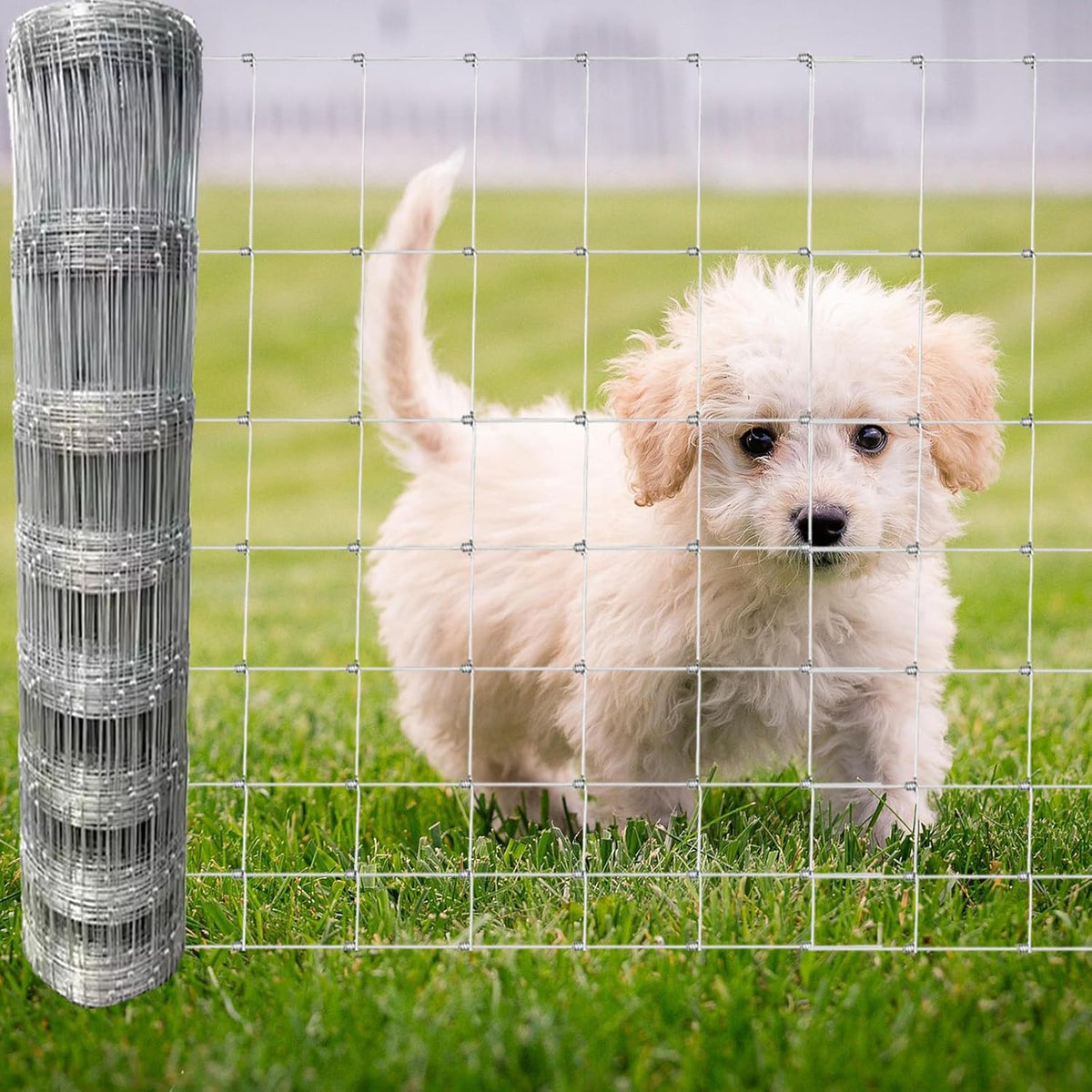 40in x 100ft Galvanized Wire Fence, Hog Goat Fencing Garden Fencing Roll, Heavy Zinc Coating Metal Wire Mesh for Yard Vegetable Plant Protection Poultry Netting