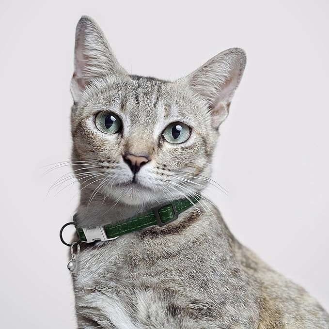 Leather Cat Collar with Buckle and Removable Bell - Non Breakaway Adjustable Soft Safety Small Pet Collars for Girl Boy Cats Kitten (Green)