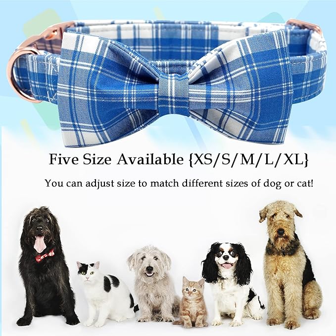 Lionheart glory Dog Collar, Boy Dog Collar Bowtie Blue Adjustable Dog Bowtie Collar Bows Dog Collar for Small Dogs