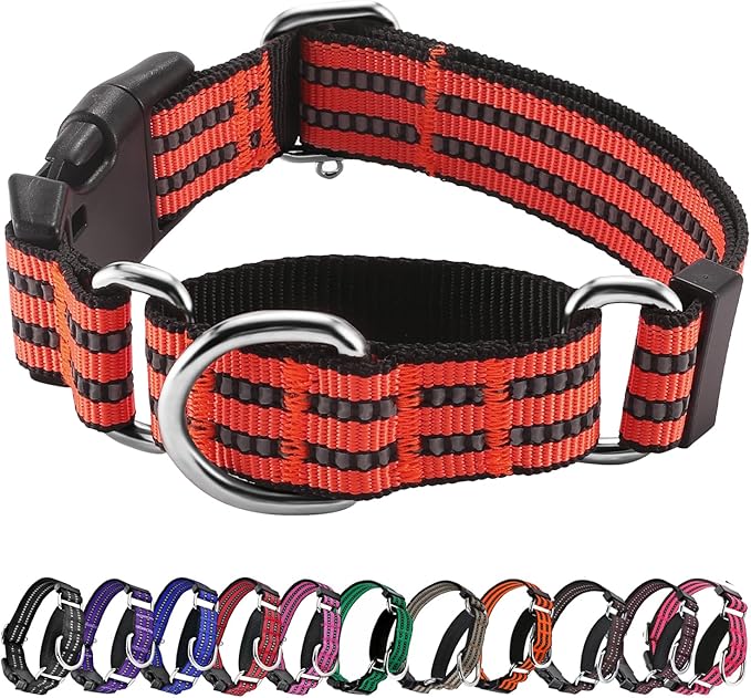 Hikiko Martingale Dog Collars Reflective Nylon Dog Collar with Quick Release Buckle Adjustable Training No Slip Dog Collar (Medium, Tangerine)
