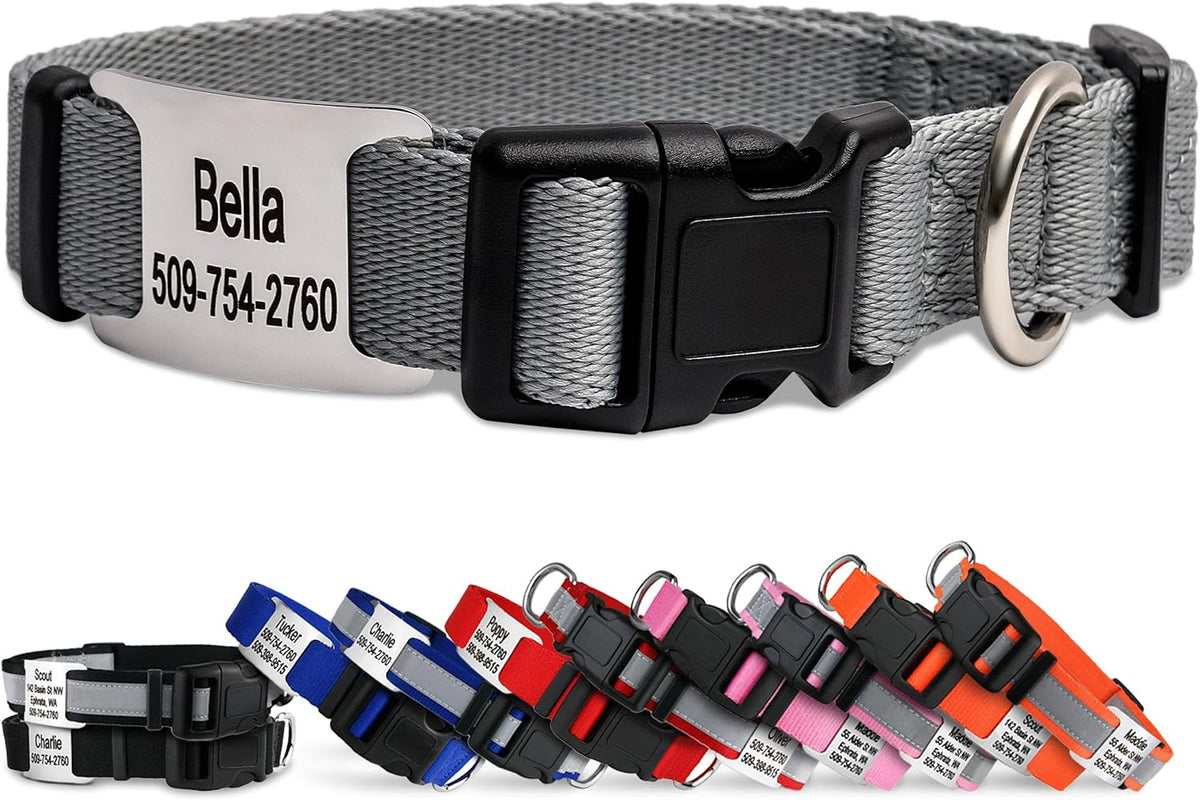 GoTags Personalized Dog Collar with Nameplate, Adjustable Dog Collar with Custom Engraved Slide On Pet ID Tag in Stainless Steel, Silent, No Noise Dog Tag (Light Gray, Small)