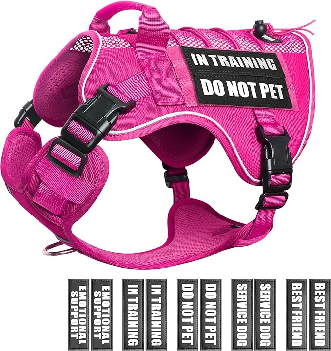 WINSEE Service Dog in Training Mesh Harness with 10 Pet Patches, Soft Air Mesh Breathable Tactical Dog Molle Vest, Reflective Military Pet Vest for Walking Hiking for Medium Dogs