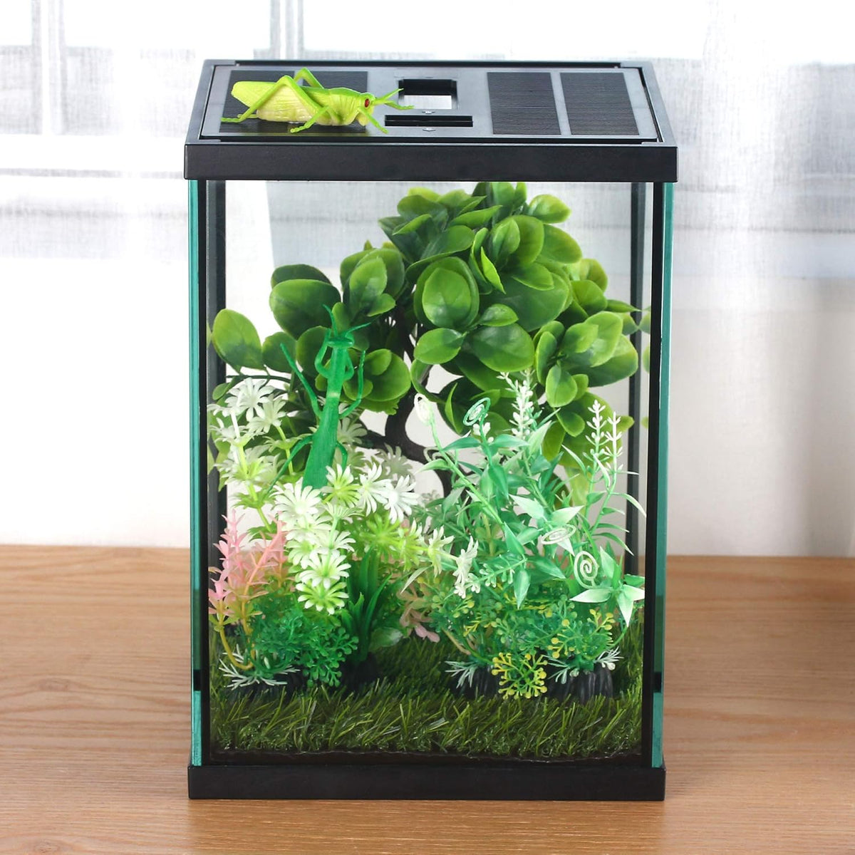 crapelles Black Small Vertical Insect GlassTerrarium, 7.8x7.8x10.8'' Reptile Tank, for Tarantula Larvae Caterpillar Frog Snail Spider Hermit Crab Habitat Container House Cricket Breeding Box
