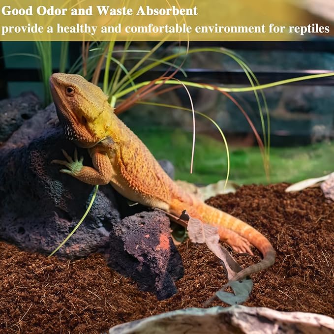ZeeDix 2 Pack Coconut Fiber Substrate, 100% Organic Coconut Husk Coco Coir Brick Terrarium Bedding for Reptiles, Tortoise, Bearded Dragon, Leopard Gecko, Snake, Hermit Crabs, Frogs, Tarantula