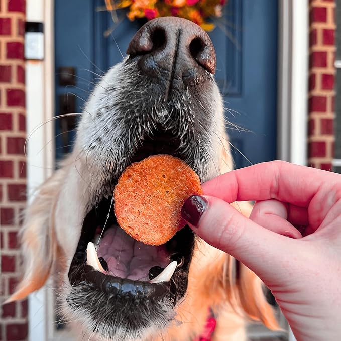 Farm To Pet Turkey Feast Chips Dog Training Treats - Turkey Chips, Single Ingredient, Lean, All Natural, Healthy Treats for Small, Medium, Large Dog Breeds, & Puppies, Made in USA