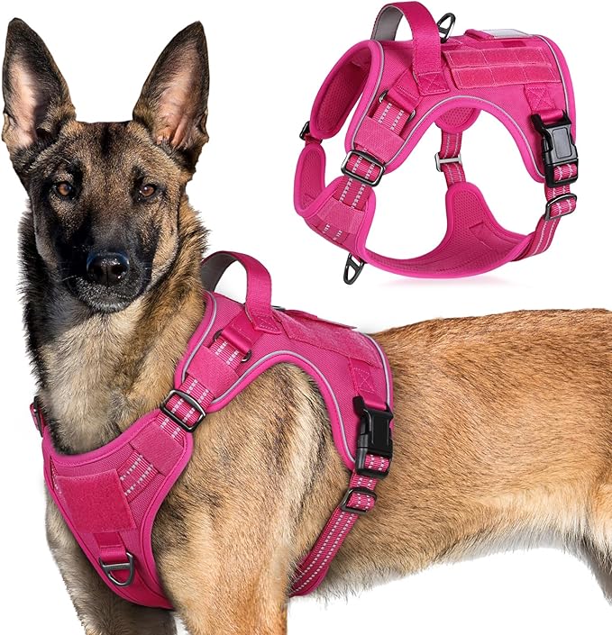 rabbitgoo Tactical Dog Harness for Large Dogs, No Pull Military Service Vest with Handle & Molle, Easy Control for Training Walking, Adjustable Reflective Straps, Rose Red, XL