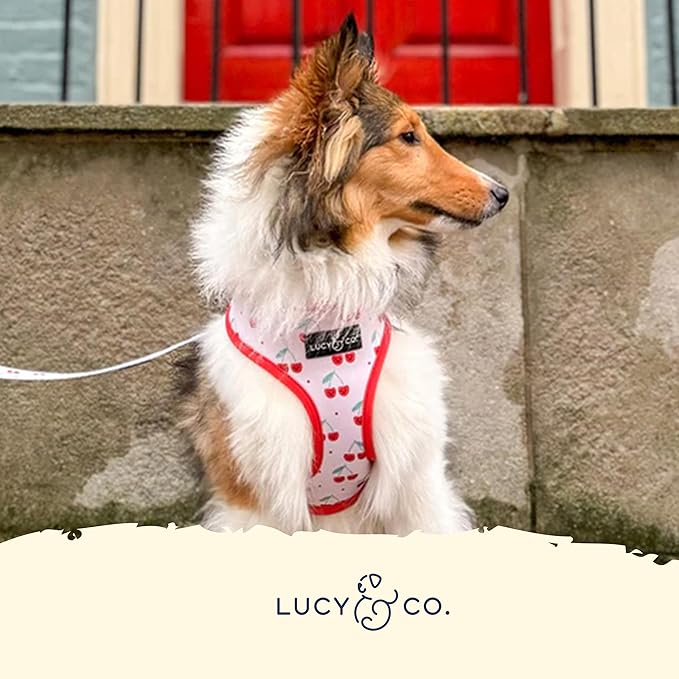 Lucy & Co. Cheery Cherries, Cute Reversible Dog Harness Walking Halter - Best Designer Pet Harnesses for XS - XL Dogs - Padded Adjustable Vest for Easy Walking (X-Large)