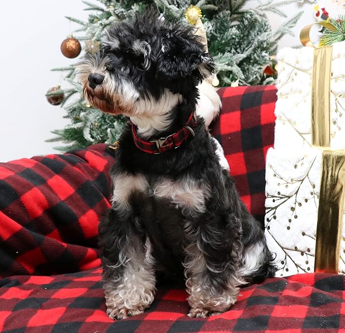 Unique style paws Christmas Dog Collar Metal Buckle Red Black Plaid Puppy Collar Gift Durable Cute Collar for Small Medium Large Boys Girls Dogs