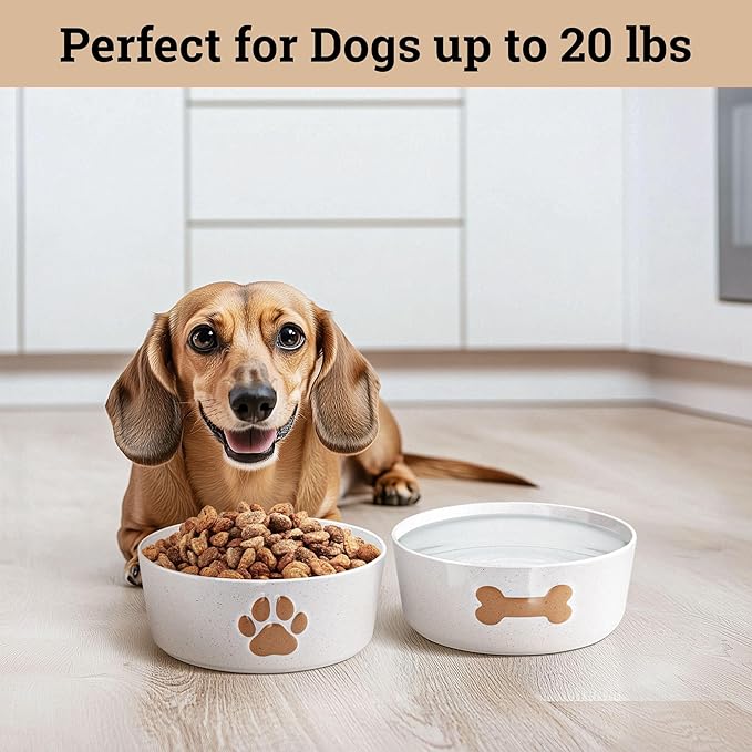 Ceramic Dog Bowl Set of 2 with Anti-Skid Base - 5" Wide x 2" Tall Ceramic Dog Bowls for Small Dogs - 2 Cup Capacity Food and Water Bowls for Dogs - Rubber Bottom Pet Bowl Set of 2 for Small Pets
