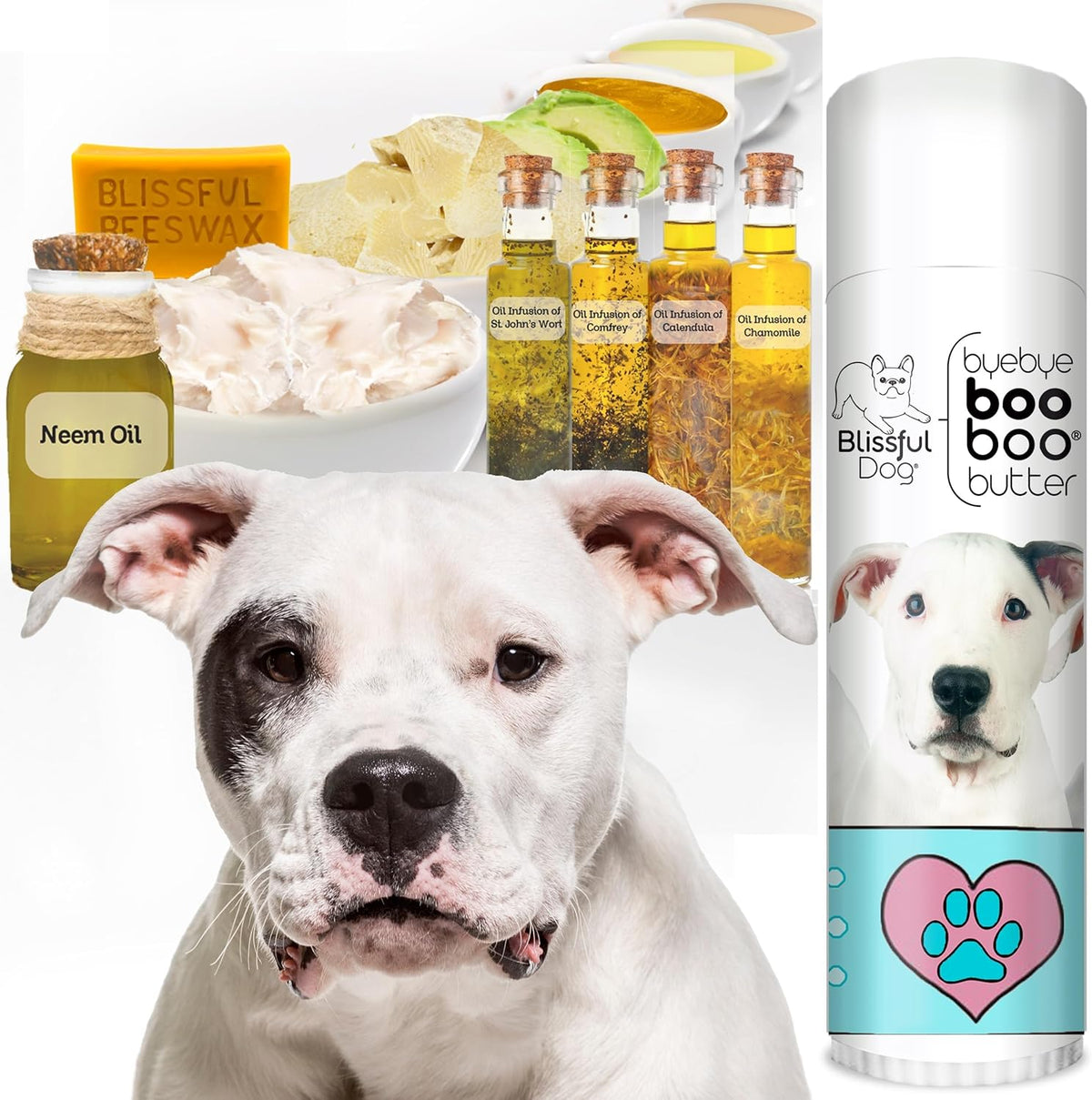 The Blissful Dog Dogo Argentino Boo Boo Butter, 0.50-Ounce