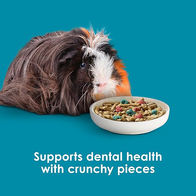 Kaytee Forti-Diet Pro Health Nourish+Protect Guinea Pig Food, Comprehensive Nutrition Backed by Science, Digestive Health, Immune Support, 20 pounds