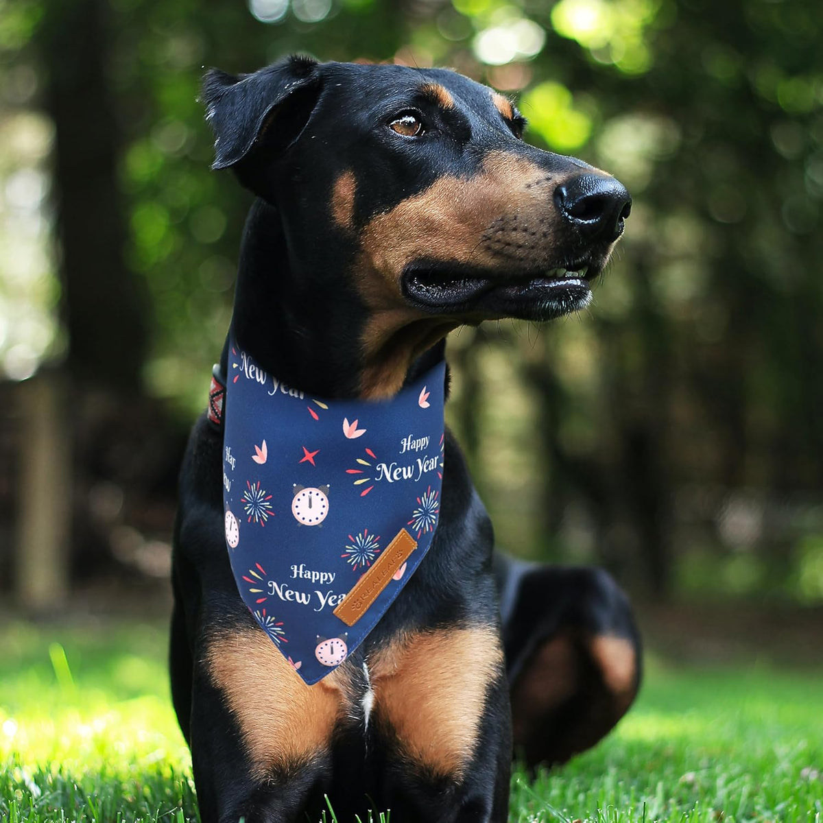 Realeaf Happy New Year Dog Bandanas 2 Pack, Reversible Holiday Pet Scarf for Boy and Girl, Premium Durable Fabric, Bandana for Small Medium Large and XLarge Dogs (Large)