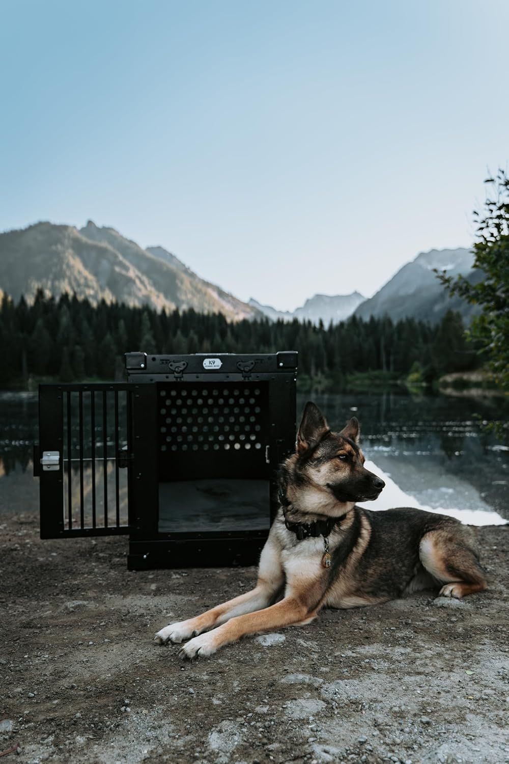 Heavy Duty Fully Collapsible Powder-Coated Aluminum Dog Crate - Medium (White)