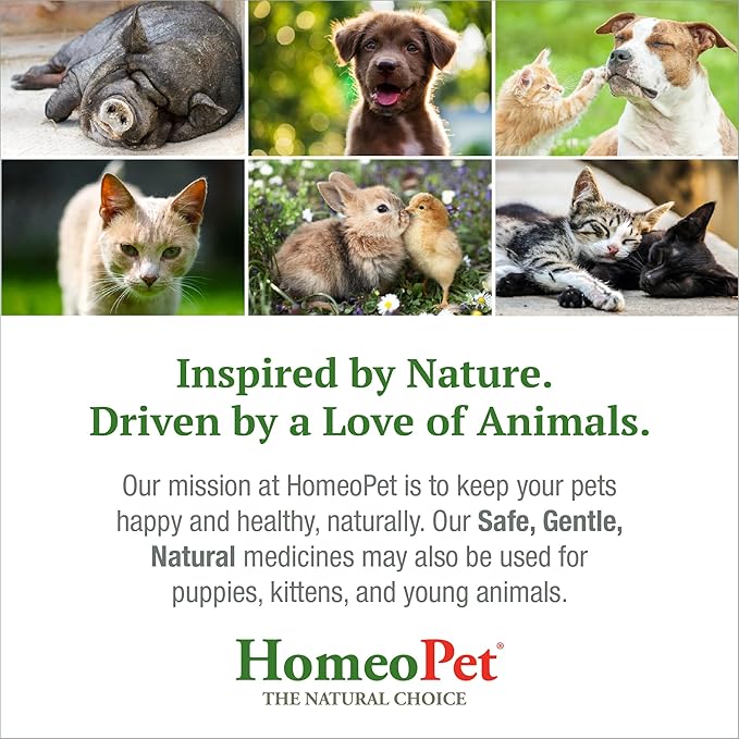 HomeoPet Digestive Upsets, Safe, Gentle, and Natural Cat and Dog Digestive Support, 15 Milliliters