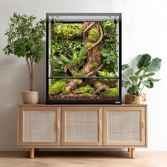 Oiibo 18" x 18" x 24" Glass Reptile Terrarium, Knock-Down Rainforest Reptile Habitat Tank with Front Opening Doors & Top Screen Ventilation, 30 Gallon Vertical Terrarium
