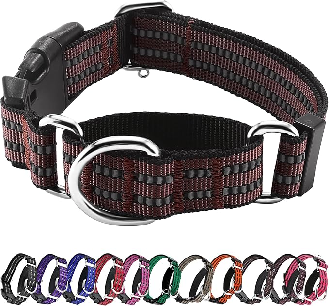 Hikiko Martingale Dog Collars Reflective Nylon Dog Collar with Quick Release Buckle Adjustable Training No Slip Dog Collar (Large, Coffee Brown)