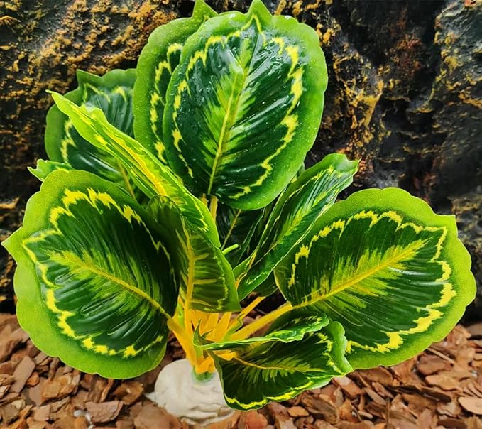 Reptile Decor Plants,Amphibian Habitat Decor,Artificial Plants for Bearded DragonTank Accessories Suitable for Leopard Gecko Lizard Chameleon Snake Tortoise (Calathea makoyana -A)