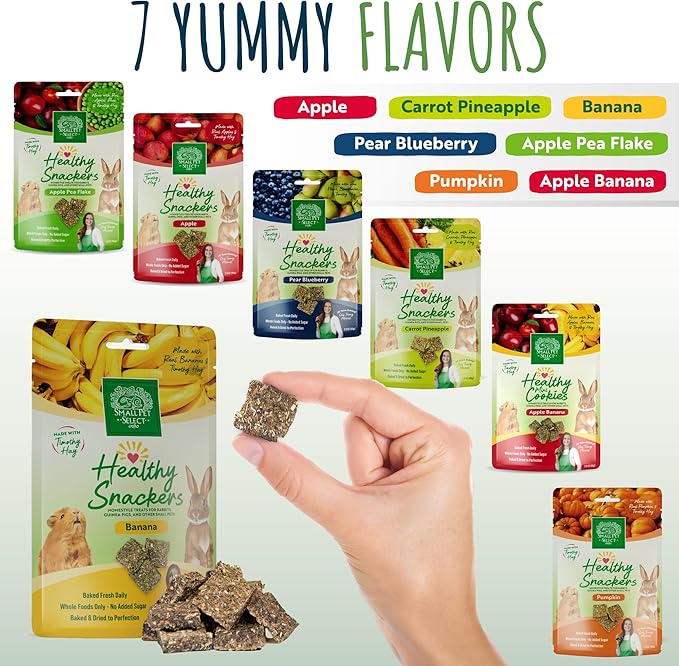 Small Pet Select - Healthy Snackers - Banana (Pack of 2)
