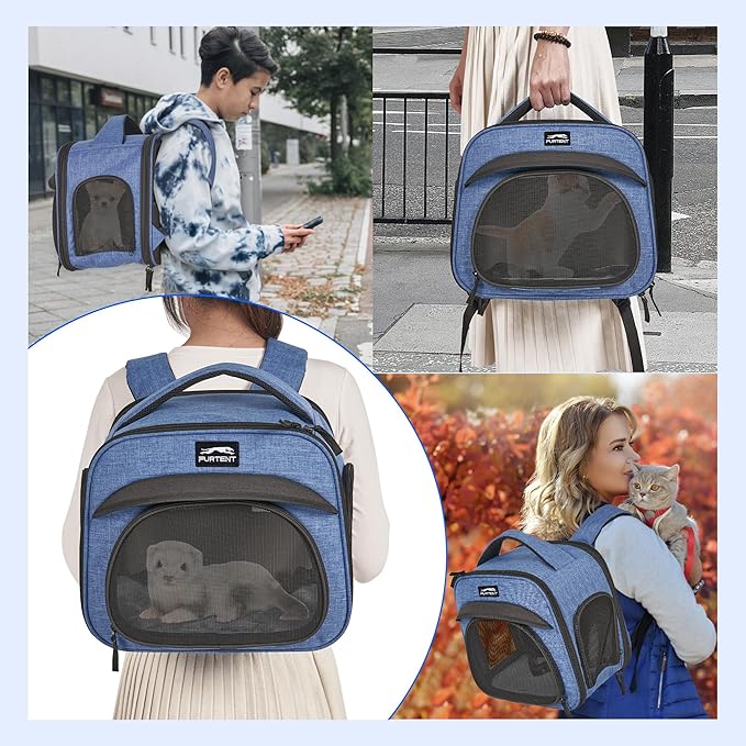 Small Pet Carrier, Breathable Collapsible Pet Bag with Safety Leash for Small Puppy, Kitten, Guinea Pig Weighing up to 8 Pounds Designed for Travel, Hiking, Walking and Outdoor Use, Blue
