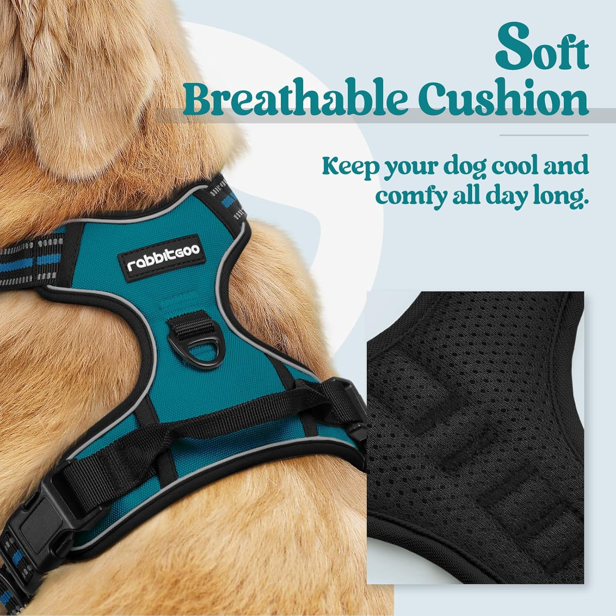 rabbitgoo Dog Harness No Pull with 2 Leash Clips, Adjustable Soft Padded, Reflective Oxford No Choke Pet Vest with Easy Control Handle for Large Dogs, Blue Coral, XL