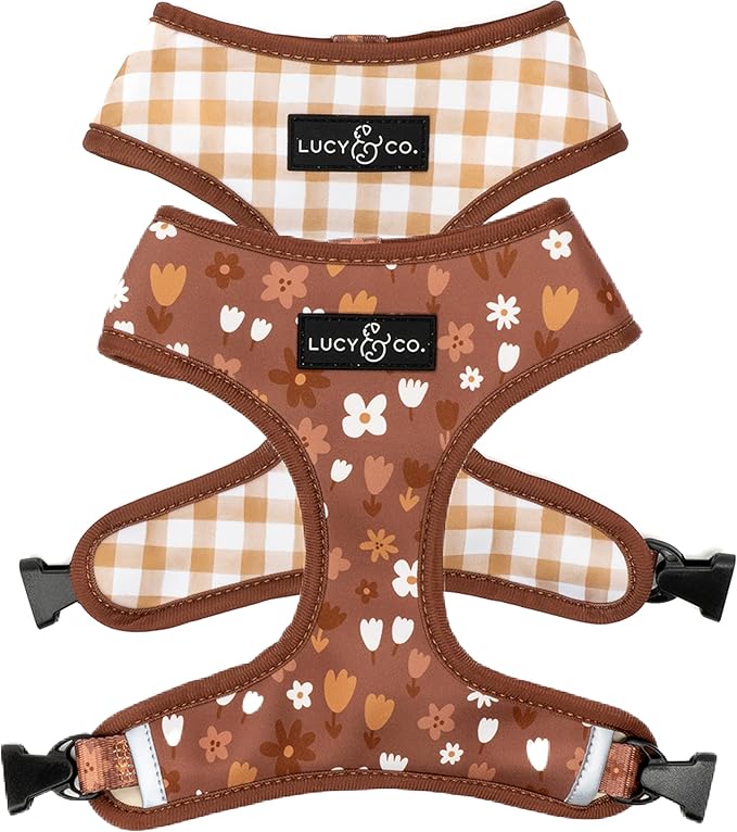 Lucy & Co. Cute Reversible Dog Harness Walking Halter - Best Designer Pet Harnesses for XS - XL Dogs - Padded Adjustable Vest for Easy Walking (Small, Chocolate Meadows - Brown & White Floral)