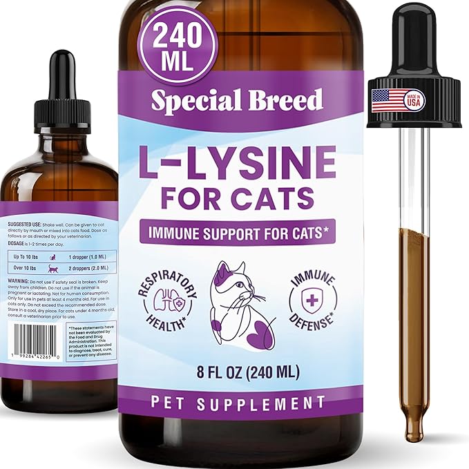 Special Breed L-Lysine for Cats & Kittens – Immune, Respiratory & Eye Health Support – Liquid Cat Supplement with Astragalus, Burdock, Atractylodes, Dangshen & Vitamins A, B1, B2, B6 – 8oz (240mL)