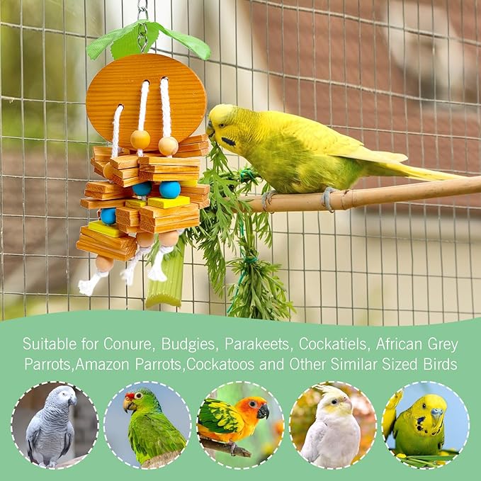 Hamiledyi Natural Wood Block Bird Cage Toys Parrot Chewing Toy Orange&Apple& Banana&Grapes Shaped Hanging Foraging Toy for Small&Medium Birds Parakeets Cockatiels,4pcs
