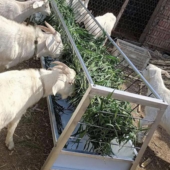 92 Gallon Goat Hay Feeder, 33.4" Height 60" Length Goat Feeder, Hay Rack Galvanized Steel Hay and Grain in One, Ease of Assembly, Hand-Powered Feeding Station for Goats, Sheep, Horses, Silver