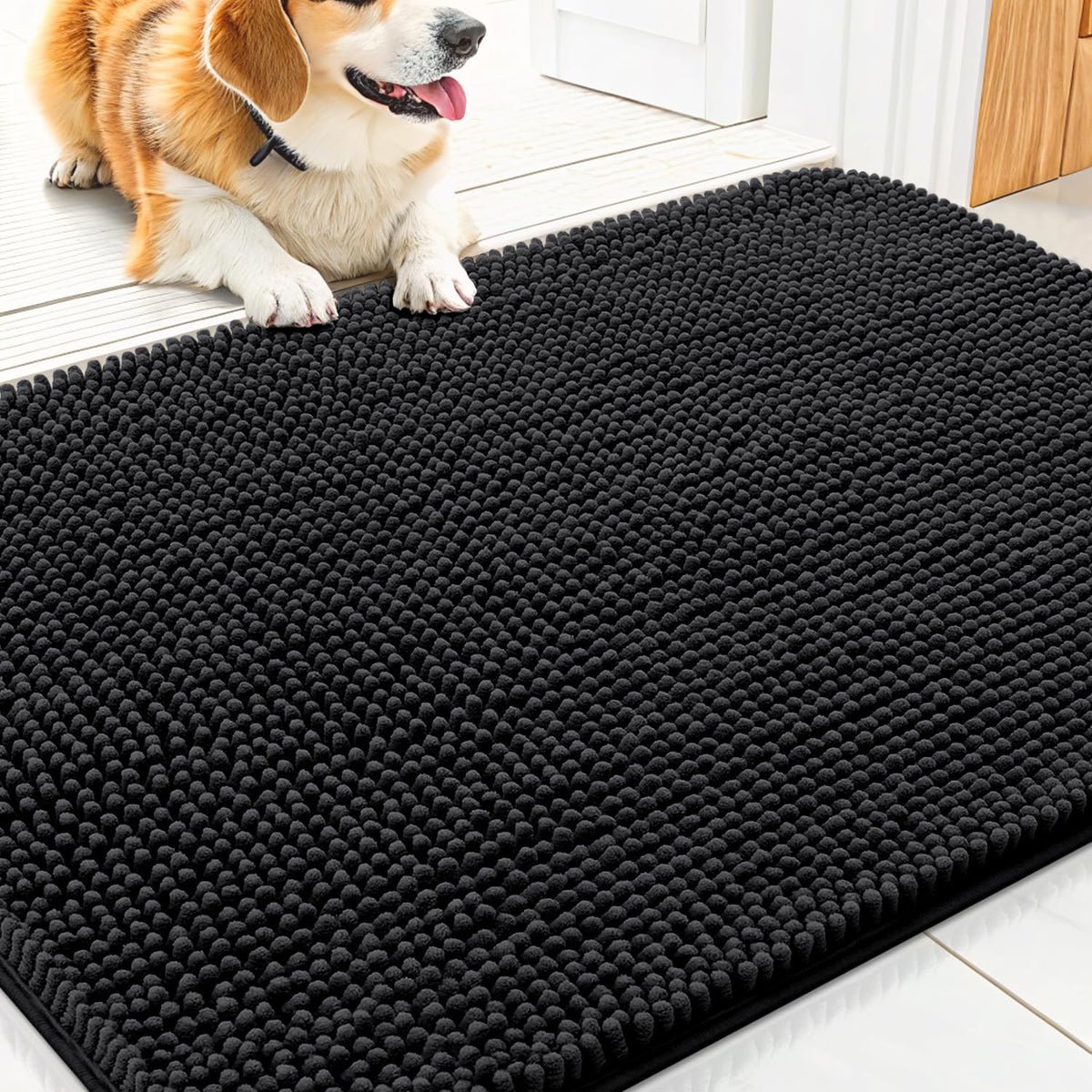 Smiry Dog Door Mat for Muddy Paws 30x20, Absorbs Moisture and Dirt Doormat, Non-Slip Washable Quick Dry Chenille Front Door Mat Indoor Entrance, Entryway Carpet for Inside Floor, Black