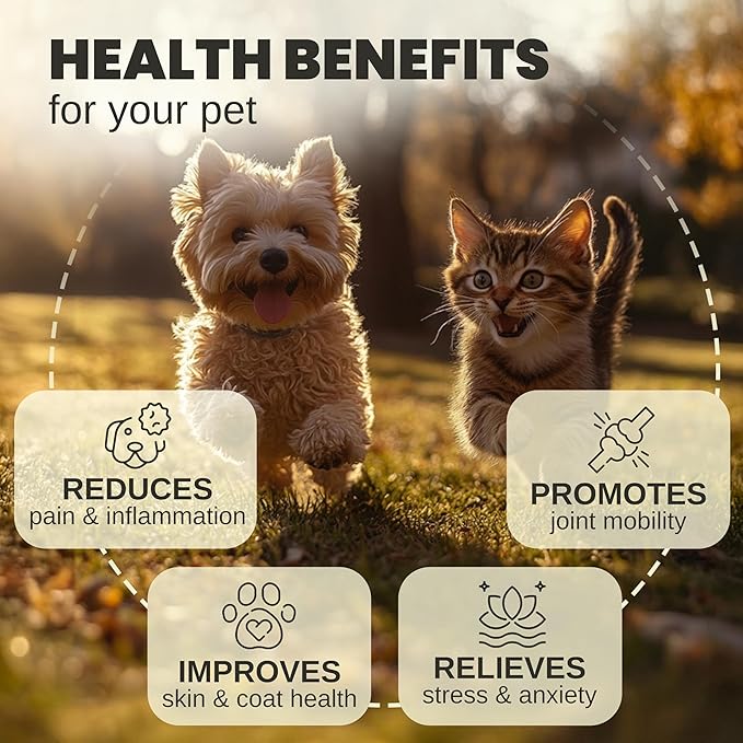 Hemp Oil for Dogs and Cats - Helps with Anxiety, Pain, Stress, Sleep, Arthritis, Seizures Relief - Hip and Joint Support - Calming Drops