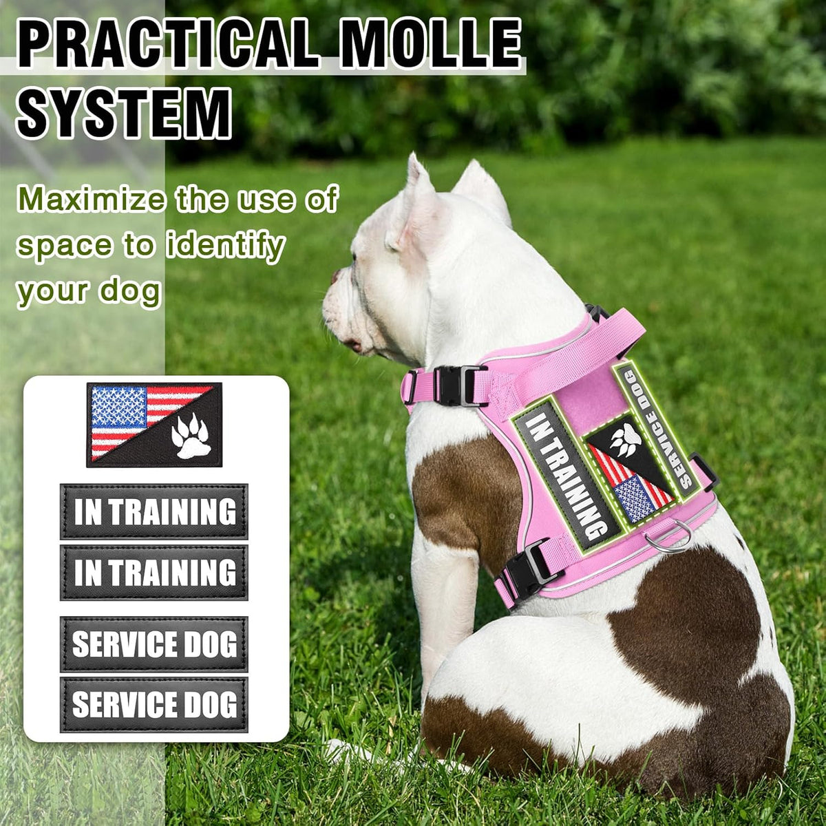 WINSEE Service Dog in Training Harness with 5 PCS Patches, Reflective Tactical Dog Vest Harness, Adjustable Soft Oxford Pet Harness with Easy Control Handle, Hook & Loop Panels for Walking Hiking