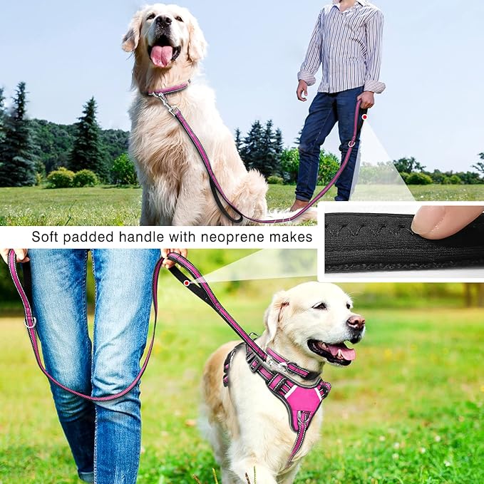 WINSEE Pet Harness Collar and Leash Set, All-in-one Reflective Dog Harness No Pull with Adjustable Buckles for Puppies, Small, Medium, Large, and Extra-Large Dogs (X-Large, Rosy)