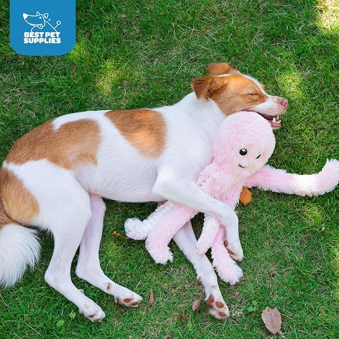 Best Pet Supplies Interactive Squeaky Dog Chew Toy, Ideal Dog Toys for Chewers, Small, Medium & Large Dogs, and Fetch Lovers - Octomutant (Pink), Large