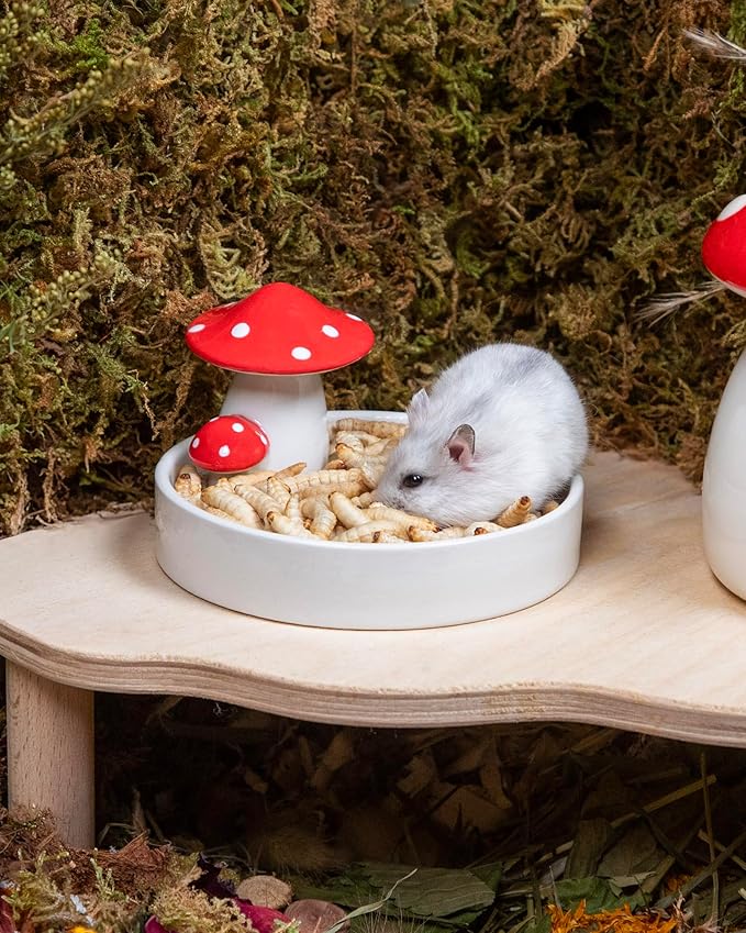 Niteangel Small Animal Snack & Treats - Small Critter Natural Treat for Dwarf Syrian Hamsters Gerbils Mice Sugar Glider Hedgehogs Chickens Birds (Freeze-Dried Worms- 0.9oz (25g))