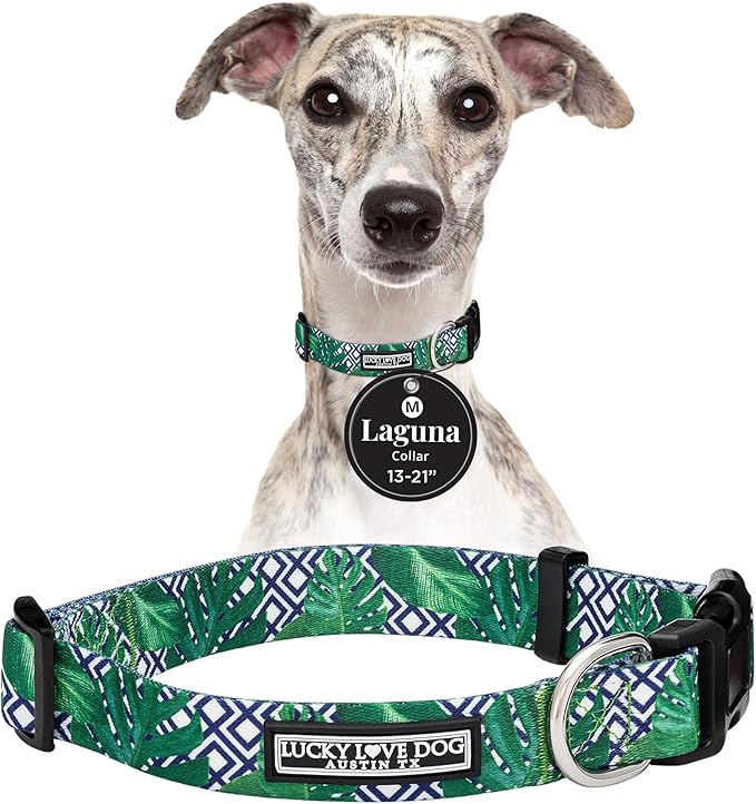 Lucky Love Dog Collar, Beautiful & Vivid Pattern Medium Boy Dog Collars, Easy On & Off Clasp Accessory (Blue Laguna, M)