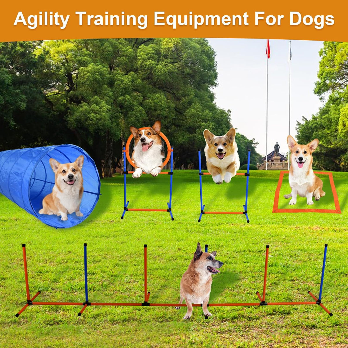 Agility Training Equipment for Dogs, Dog Agility Course Backyard Set Include Tunnel, Jumping Ring, Pause Box, 6 Weave Poles with Carry Bags
