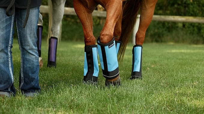 Warrior Fly Boots for Horses - Breathable Mesh Horse Boots for Fly Protection & Leg Comfort - Set of 4 (The Warrior, Purple)