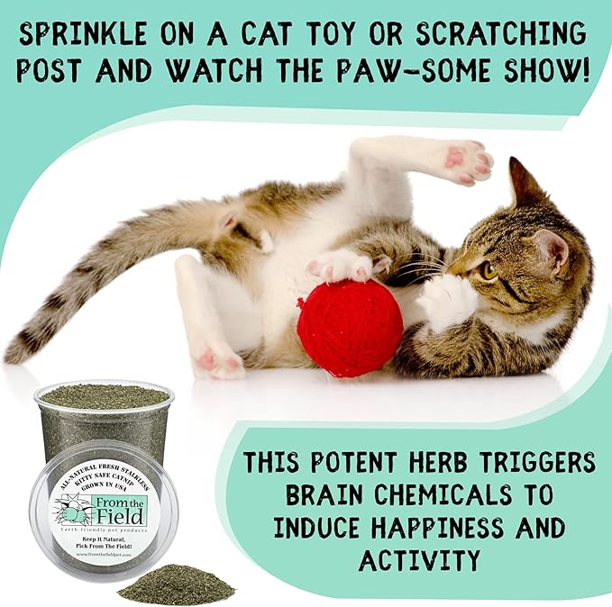 from The Field | Fine Ground Stalkless Catnip | Premium USA-Grown Catnip for Toys & Playtime | Fresh, Potent, Non-Toxic, Eco-Friendly | Safe for Kittens & Cats | Resealable 2 Oz Tub