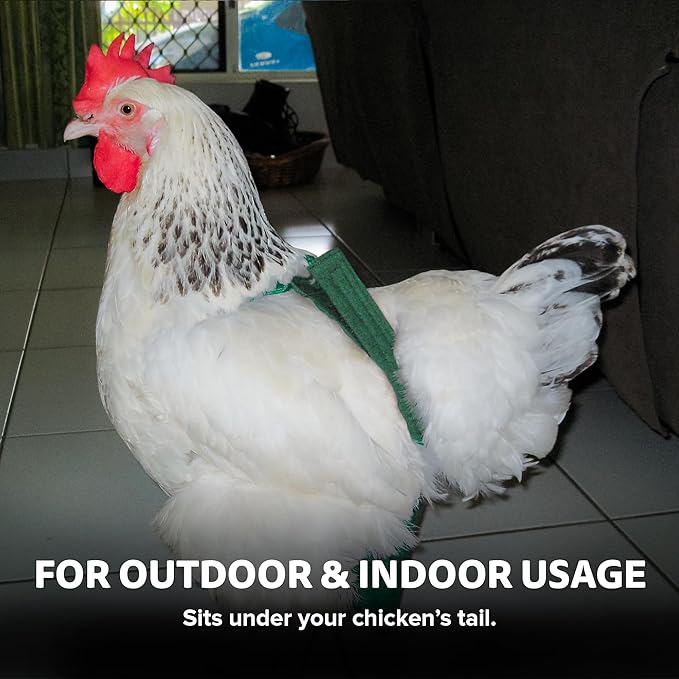 Hen Holster Bikini Diaper, Bird Diaper & Harness for Hens, Roosters, Ducks, Geese - with Removable Vinyl Liner, Adjustable Fit for Outdoor Adventures & Indoor Use - Easy to wear - S/M, Green