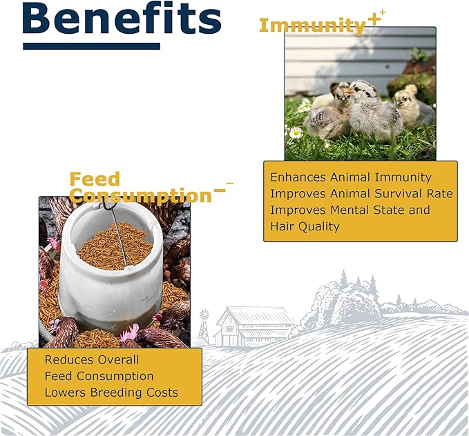 Nutrient-Rich Chicken Feed - 10LB Dried Black Soldier Fly Larvae, 100% Natural, 85X More Calcium Than Mealworms, Ideal for Molting & Laying Hens, Ducks, and Wild Birds, Reptiles and Hedgehog