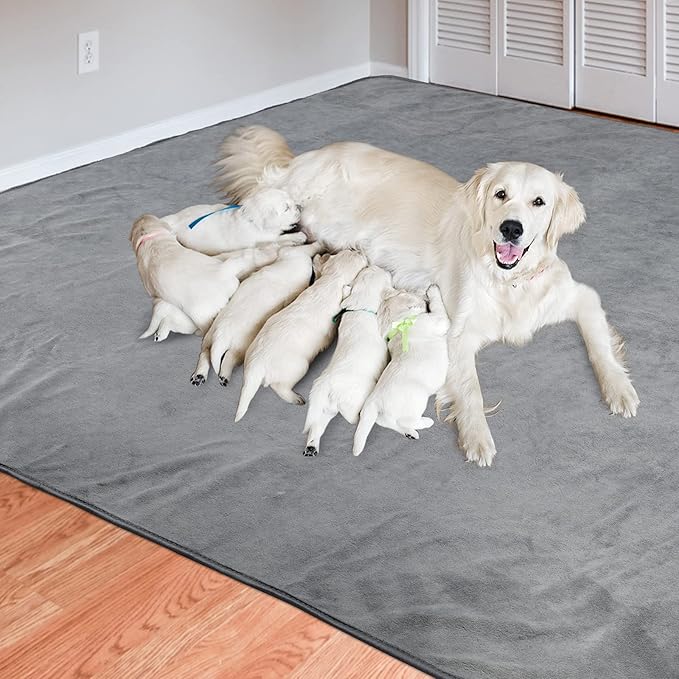 Dog Pee Pad Washable-Extra Large Instant Absorb Training Pads Non-Slip Pet Playpen Mat Waterproof Reusable Floor Mat for Puppy/Senior Dog Whelping Incontinence Housebreaking (31"x36"-(2PACK))