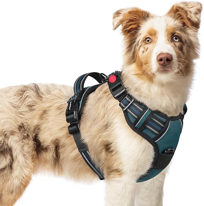 rabbitgoo Dog Harness Medium Sized, No Pull Pet Harness with 3 Buckles, Adjustable Soft Padded Vest with Control Handle, Walking Reflective Pet Vest for Medium Dogs, Blue Coral, M
