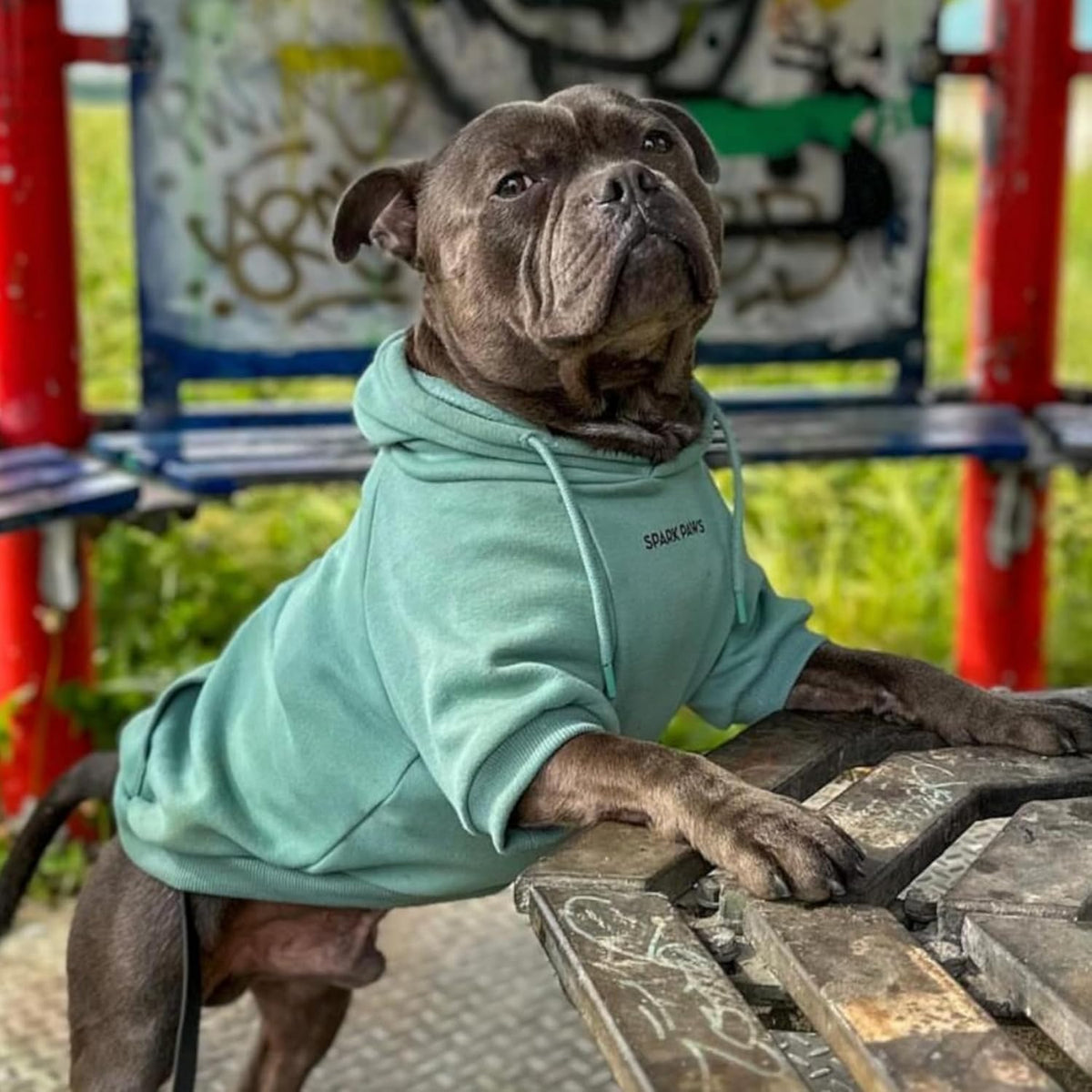 Spark Paws Dog Hoodie – Premium Dog Sweater for Small, Medium, and Large Dogs | Warm Outfits for French Bulldogs, Pitbull, Puppy, Winter Jacket Alternative - Teal - 5XL