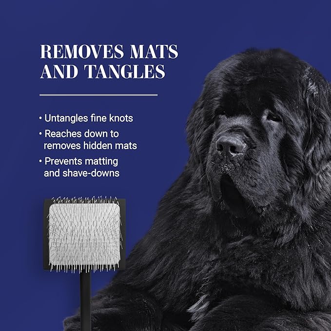 Chris Christensen Big K Dog Slicker Brush for Dogs (Goldendoodles, Labradoodles, Poodles), Groom Like a Professional, Fluff Detangle Style, Saves Time Energy, Black, Medium