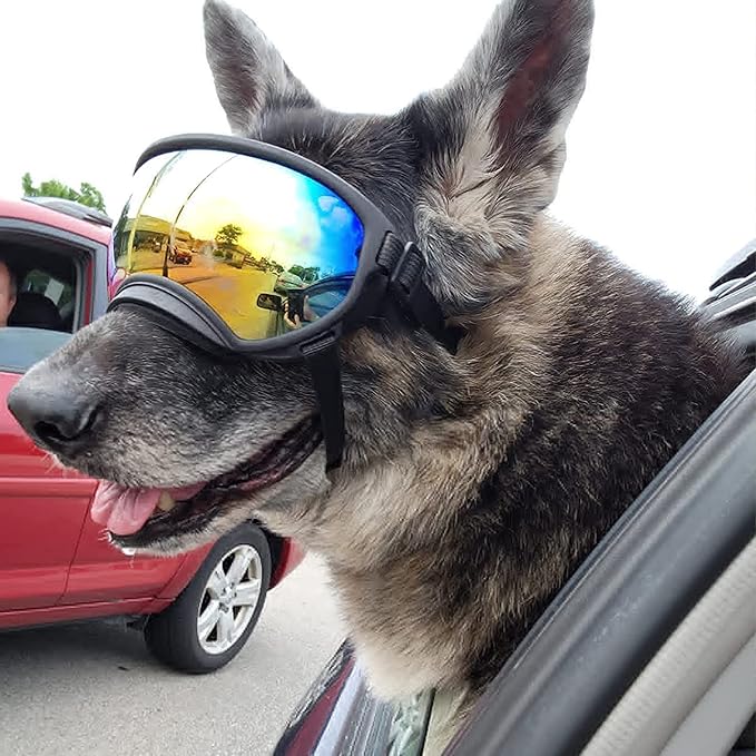 Large Dog Sunglasses with Adjustable Strap UV Protection, Winproof, Suitable for Medium-Large Dogs