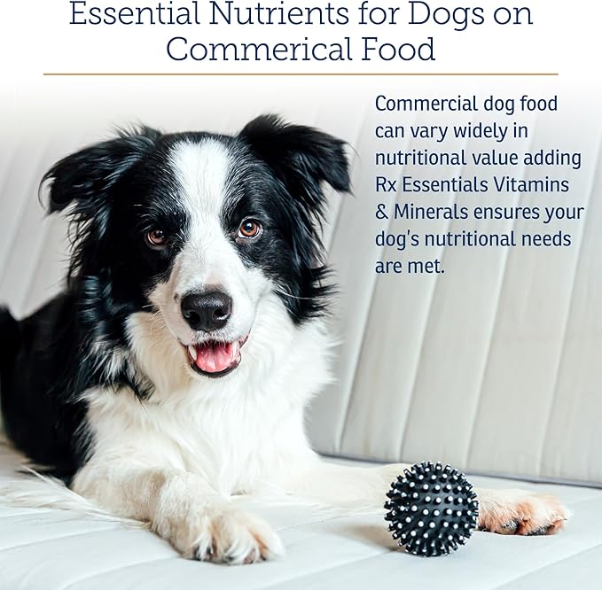 Rx Vitamins Essentials for Dogs - Daily Vitamins & Minerals - with Blue Spirulina, Kelp Powder, and Milk Thistle - Complete Canine Vitamins and Essential Minerals Powder - 8 oz